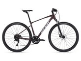 Giant Roam Disc 2 Hybrid Bike
